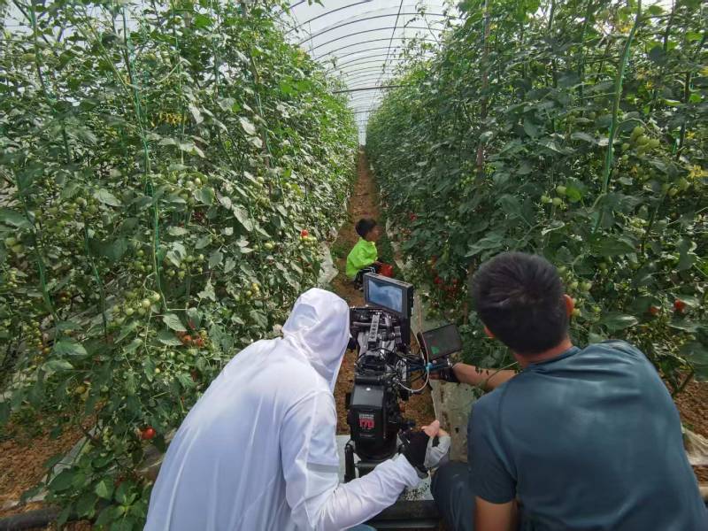 乌苏市产品宣传视频拍摄公司进阶指南，助力品牌抢占传播高地